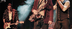 Tribute Bruce Springsteen