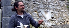 Compagnie Anim' à Lier - Spectacle d'oiseaux