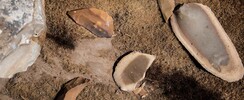 Grotte du Grand Roc