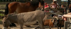 FERME PEDAGOGIQUE DE LA BECHERE