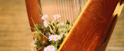 SyliaTwolands - L'ave Maria à la harpe pour votre mariage