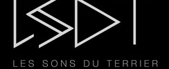 les Sons du Terrier  - groupe de compo  rock progressif