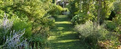Le jardin de Mireille