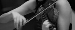 Denayer Alison - COURS DE VIOLON