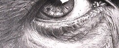 Laure Sureau  - Cours de dessin et aquarelle en visio année 25/26