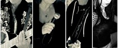 TESTARD et FROG  - En concert chez vous 