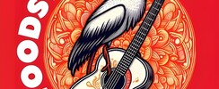 Woodstork Rock Revival - Back to the seventies