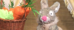 Drôle de lapin