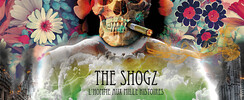 the shogz - prestations musicales