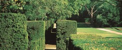 PARC DU CHATEAU DE MERVILLE