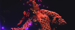 Flamenco, Estrellas del Sur - Cours de Flamenco, rumba, sevillanes et Fitgipsy