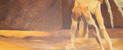 Artiste peintre de formation b-arts cherche collaboration