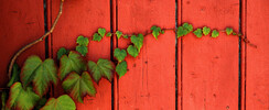 Photo Lavin - Atelier photo