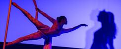 Compagnie Céleste - Prestations aériennes, danse, feu, LED, échasses