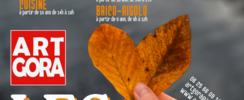 Stages d'automne