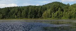 ÉTANG DE WALDECK - RESERVE NATURELLE