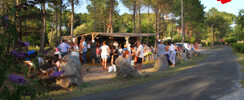 Cabane n°1
