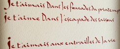 anne sacramento - cours de calligraphie occidentale