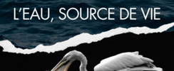 Concours photo