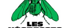 Les Négresses Vertes