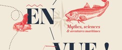 Mer en vue !
