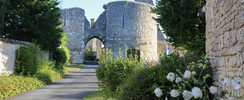 Forteresse médiévale et village de Yèvre-le-Châtel