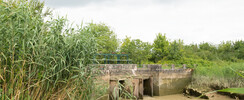 Marais d'Arcins Soussans