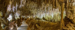Grotte de Domme (Grotte de la Halle)