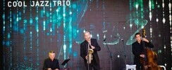 David Bonnin - Concerts et animations musicales