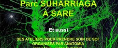 L'âme de Sare vue par FANFAN