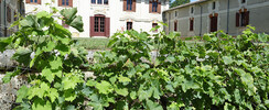 Musée du Vin et de la Vigne Chai de Lardimalie