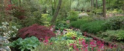 Jardin Arboretum d'Ilex