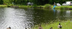 Etang classé de Sainte-Foy