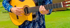 Pepegero - Chanteur gipsy grenoble