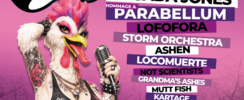 FESTIVAL LANGUEDEROCK