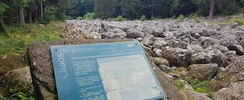LE CHAMP DE ROCHES