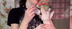 Rue des deux fermes - Spectacle sur les animaux de la ferme