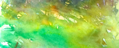 LAETITIA HR Studio - Cours peinture, aquarelle, dessin