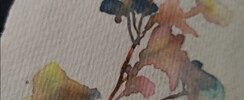 Initiation à l'aquarelle pour les grands débutants