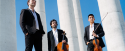 Trio Zadig