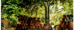 JARDIN BOTANIQUE DE MARNAY SUR SEINE