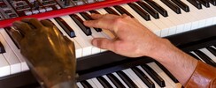 Sunny Side Trio - Spectacle musical 