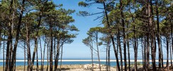 Recherche maître de stage peinture toute technique