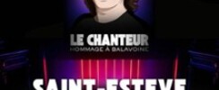 Le Chanteur Hommage à Balavoine