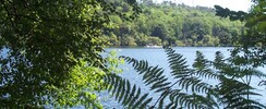 Lac de Guerlédan