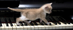 Jean - Cours de piano à domicile