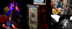 COTTON HOWLERS - BLUES ROOTS & MORE