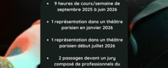 Cours Hamon - Classe intensive pro