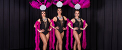 Danseuses recherchent collaborations