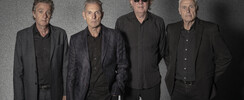 Dr Feelgood